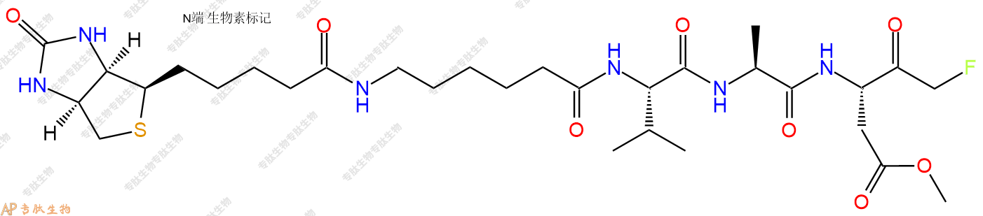 專肽生物產品半胱氨酸蛋白酶Caspase Inhibitor I1135688-15-1