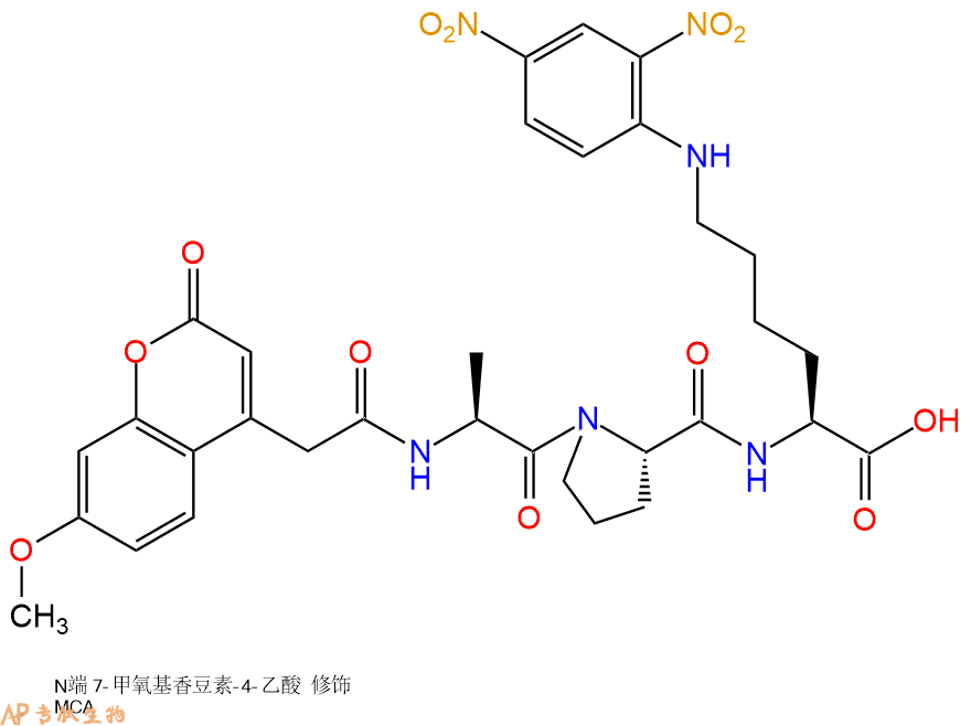 專肽生物產(chǎn)品血管緊張素I轉(zhuǎn)換酶（ACE，ACE2）底物 Mca-Ala-Pro-Lys(Dnp)305336-82-7