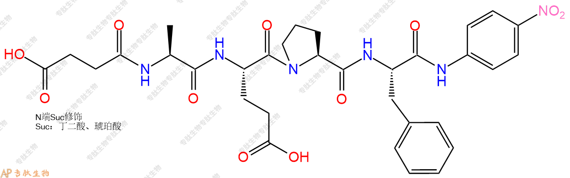 專肽生物產(chǎn)品肽基脯氨酰異構(gòu)酶底物：Suc-AEPF-對硝基苯胺128802-76-6