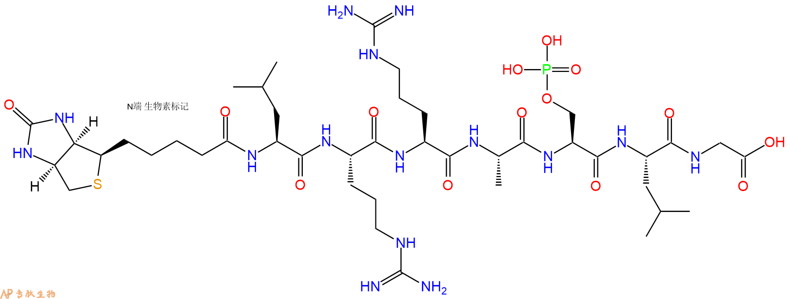 專肽生物產(chǎn)品七肽Biotin-LRRA-pSer-LG