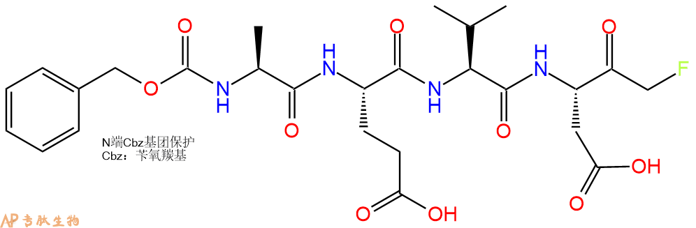 專肽生物產(chǎn)品四肽Cbz-Ala-Glu-Val-Asp-FMK419543-05-8