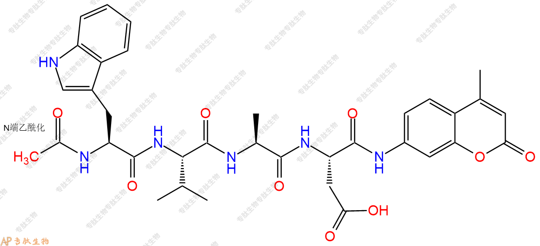 專(zhuān)肽生物產(chǎn)品Caspase - 1/Caspase - 4 Substrate II, Fluorogenic