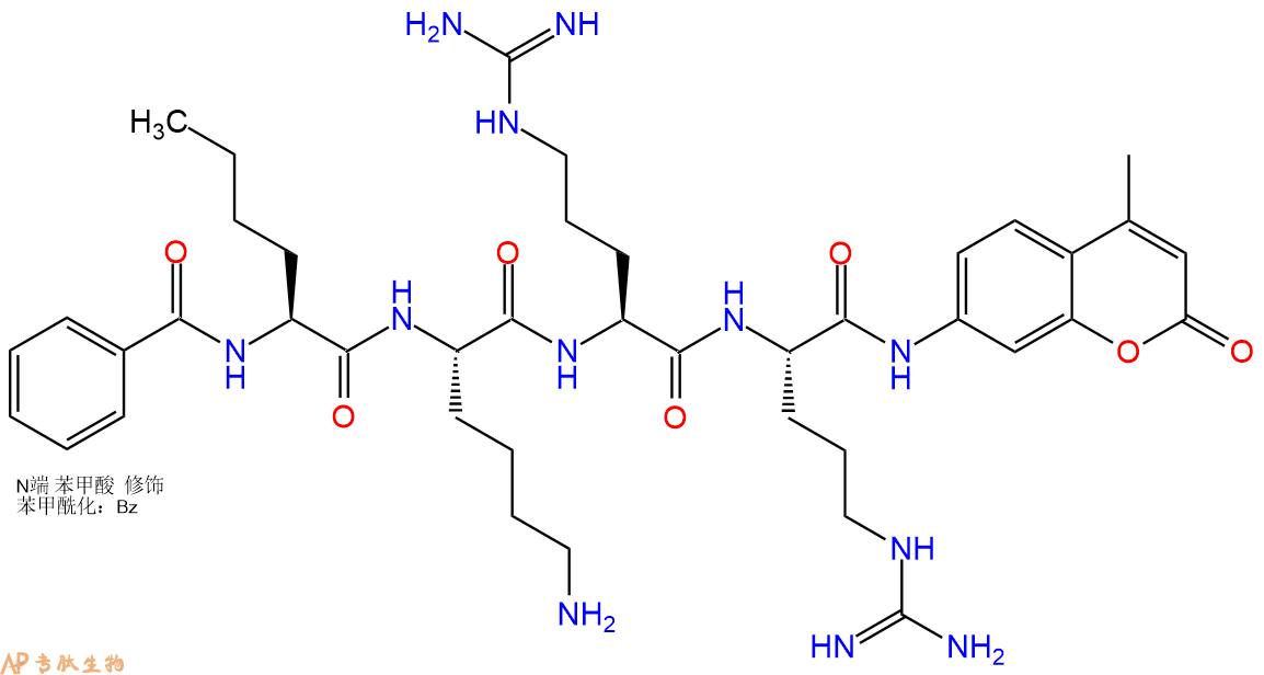 專(zhuān)肽生物產(chǎn)品標(biāo)記肽Bz-nLKRR-7-氨基-4-甲基香豆素863975-32-0