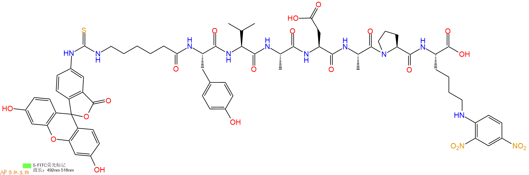 專肽生物產(chǎn)品八肽Fitc-Acp-YVADAP-K(Dnp)1926163-32-7