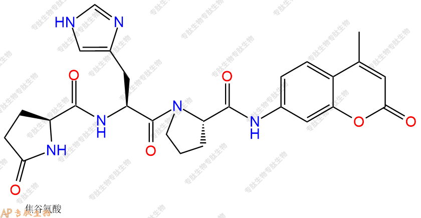 專肽生物產(chǎn)品二肽標(biāo)記肽pEHP-7-氨基-4-甲基香豆素190836-86-3