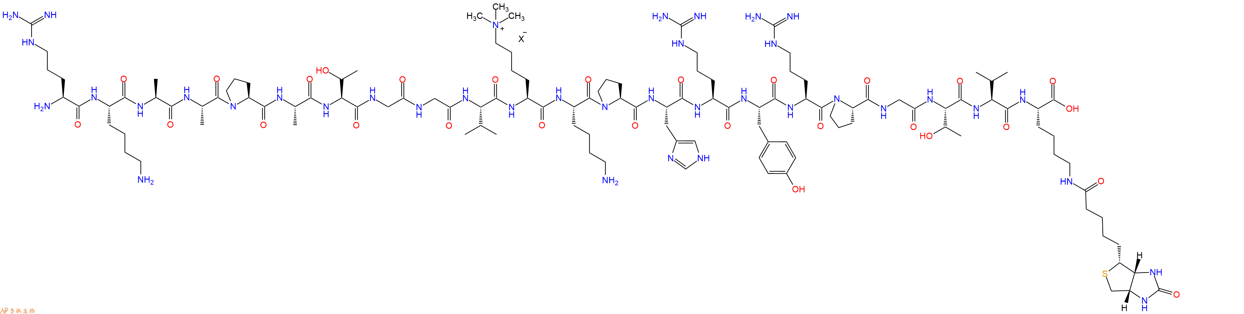 專(zhuān)肽生物產(chǎn)品組蛋白肽段[Lys(Me3)36]-Histone H3(26-46)-K(Biotin),