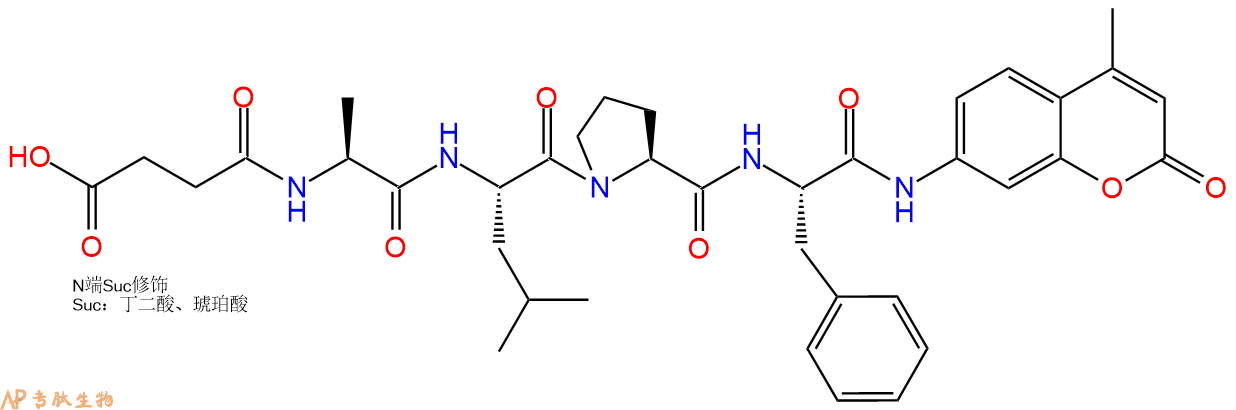 專肽生物產(chǎn)品肽基脯氨酰異構(gòu)酶底物：Suc-Ala-Leu-Pro-Phe-7-氨基-4-甲基香豆素142997-31-7