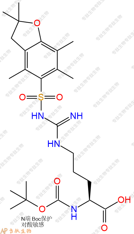 專肽生物產(chǎn)品Boc-Arg(Pbf)200124-22-7