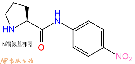 專肽生物產(chǎn)品標(biāo)記肽H-Pro-對硝基苯胺7369-91-7