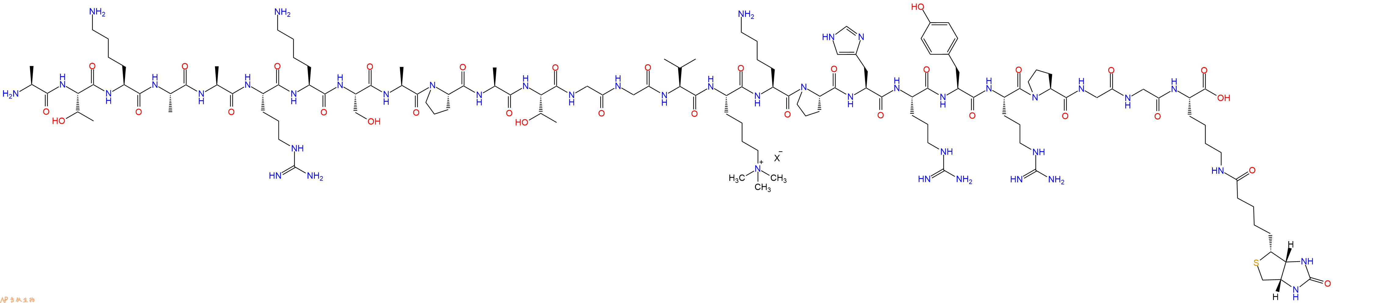 專肽生物產品組蛋白肽段[Lys(Me3)36]-Histone H3(21-44)-GK(Biotin)