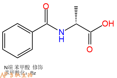 專肽生物產(chǎn)品Bz-D-丙氨酸17966-60-8