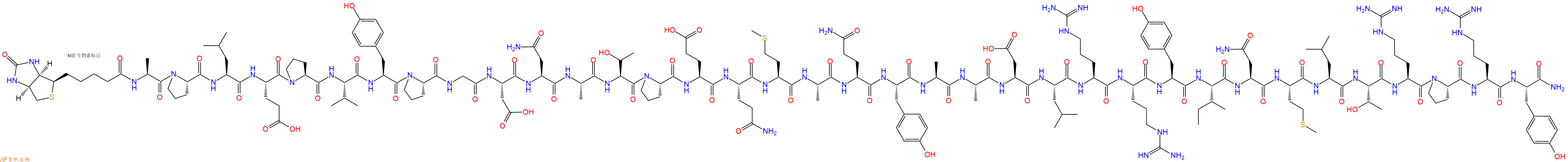 專肽生物產(chǎn)品胰腺多肽Biotin-PancreaticPoly Peptide , human1816258-36-2