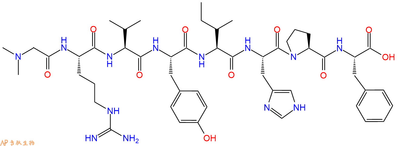 專(zhuān)肽生物產(chǎn)品血管緊張素[Sar1]Angiotensin II51833-69-3/102029-89-0/2863657-02-5/1033008-45-5