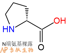 專肽生物產(chǎn)品　D-脯氨酸344-25-2