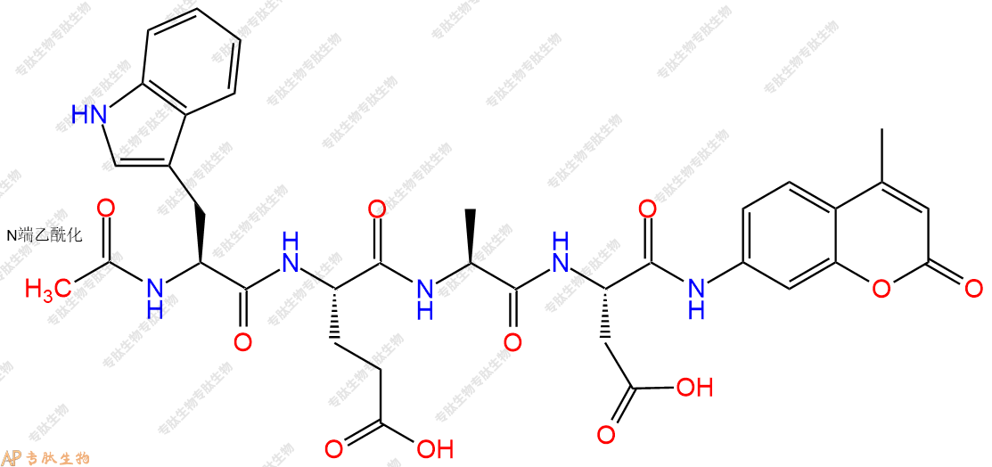 專肽生物產品Ac-Trp-Glu-Ala-Asp-7-氨基-4-甲基香豆素