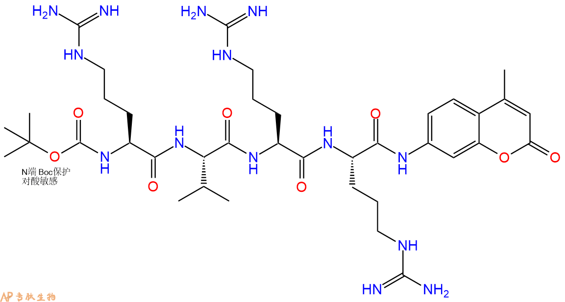 專肽生物產(chǎn)品標(biāo)記肽Boc-RVRR-7-氨基-4-甲基香豆素136132-77-9