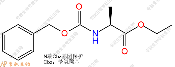 專肽生物產(chǎn)品CBzl-Ala-乙酯化60625-90-3