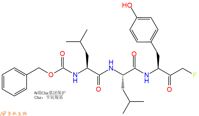 專(zhuān)肽生物產(chǎn)品蛋白酶抑制劑 Calpain Inhibitor IV133410-84-1