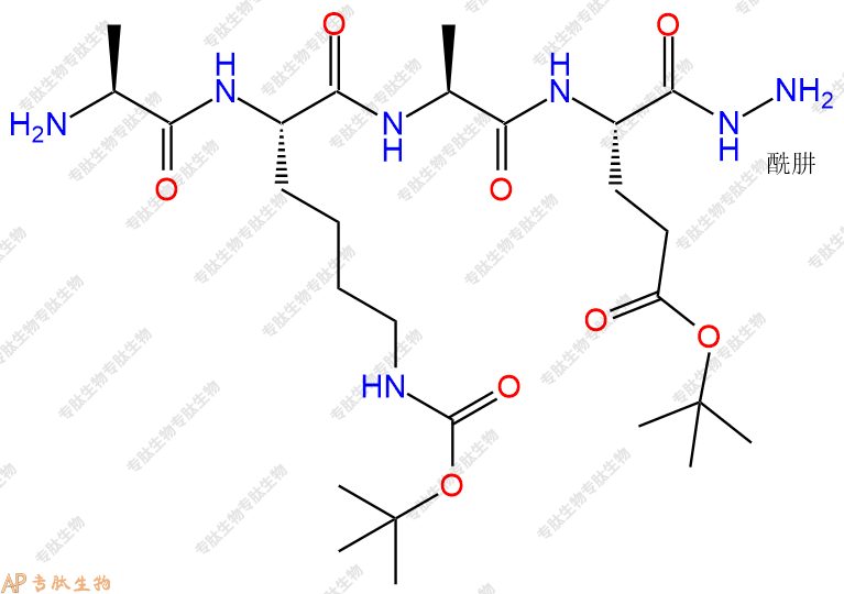 專肽生物產(chǎn)品四肽Ala-Lys(Boc)-Ala-Glu(OtBu)-NH-NH253665-77-3