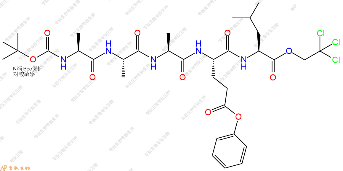 專肽生物產(chǎn)品五肽Boc-Ala-Ala-Ala-Glu(OBzl)-Leu-NHNTroc138850-70-1