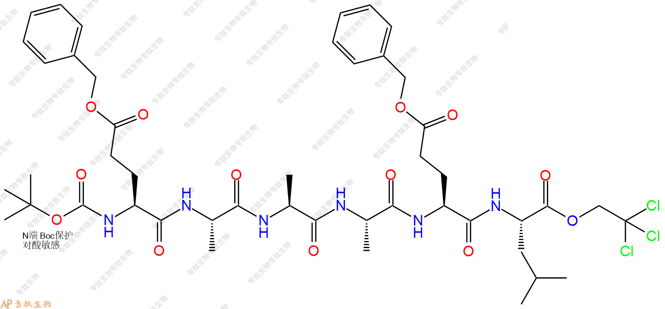 專肽生物產(chǎn)品六肽Boc-Glu(OBzl)-A-Ala-A-Glu(OBzl)-L-NHNTroc138850-71-2