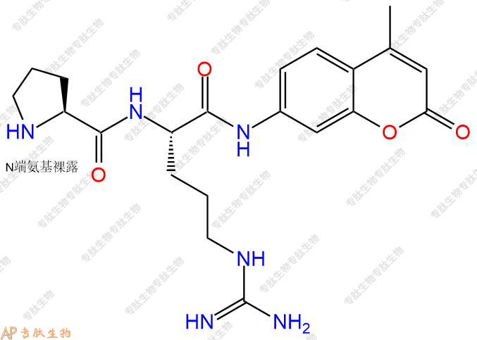 專肽生物產(chǎn)品二肽標(biāo)記肽PR-7-氨基-4-甲基香豆素·2HCl546103-85-9