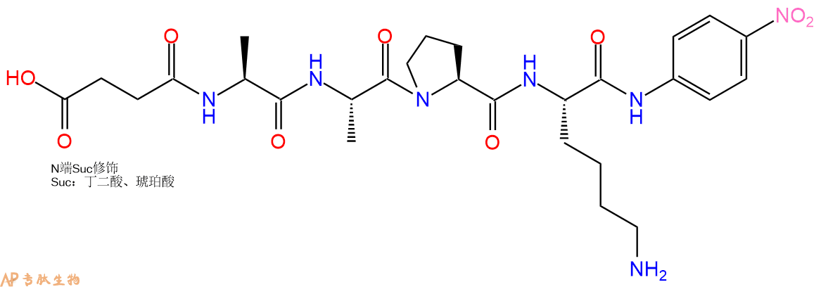 專(zhuān)肽生物產(chǎn)品四肽Suc-Ala-Ala-Pro-Lys-對(duì)硝基苯胺108929-39-1