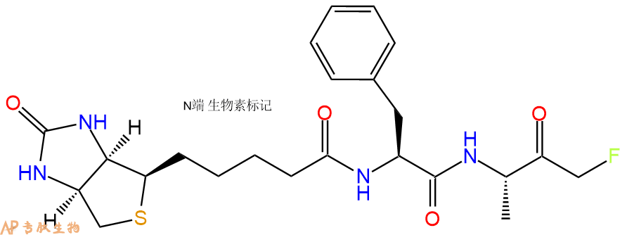 專肽生物產(chǎn)品二肽biotin-Phe-Ala-fluoromethyl ketone346617-50-3