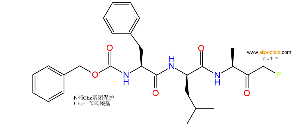 專肽生物產(chǎn)品抑制劑 of cysteine proteases； Z-Phe-DL-Ala-FMK197855-65-5