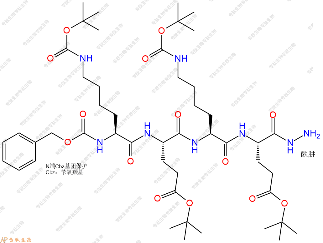 專肽生物產(chǎn)品四肽Cbz-Lys(Boc)-Glu(OtBu)-Lys(Boc)-Glu(OtBu)-NH-NH253665-62-6