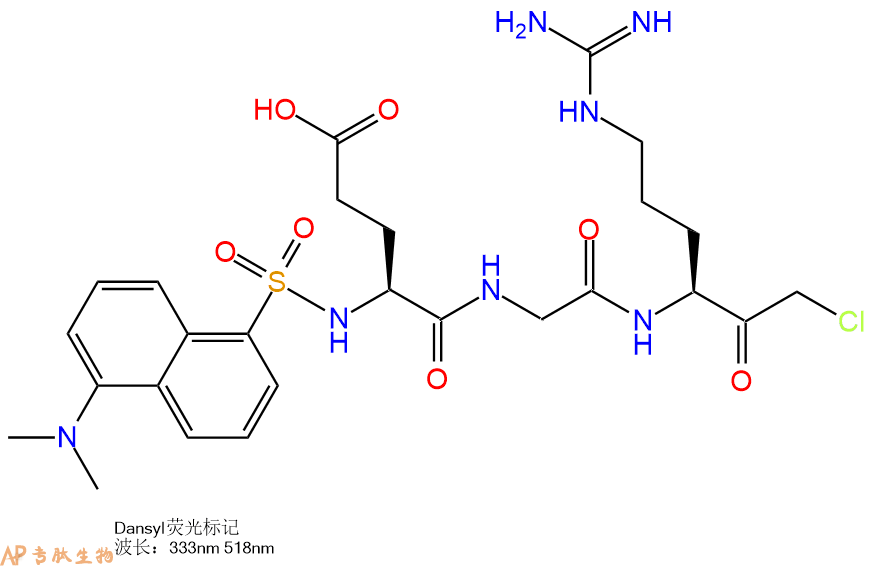 專肽生物產(chǎn)品Dansyl修飾肽：Dansyl-Glu-Gly-Arg-CMK69024-84-6