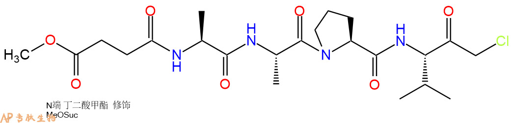 專肽生物產(chǎn)品四肽MeOSuc-Ala-Ala-Pro-Val-CMK65144-34-5