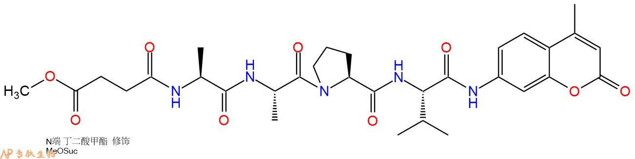 專肽生物產(chǎn)品白細(xì)胞彈性蛋白酶（中性粒細(xì)胞彈性蛋白酶）底物、Neutrophil elastase substra72252-90-5