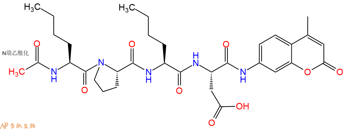 專肽生物產(chǎn)品蛋白酶體底物：Ac-Nle-Pro-Nle-Asp-7-氨基-4-甲基香豆素355140-49-7