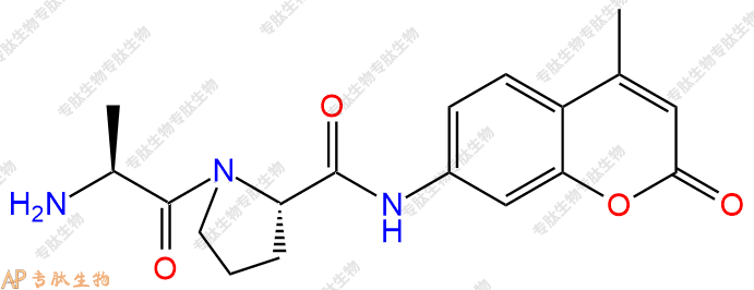 專肽生物產(chǎn)品二肽Ala-Pro-7-氨基-4-甲基香豆素658058-21-0