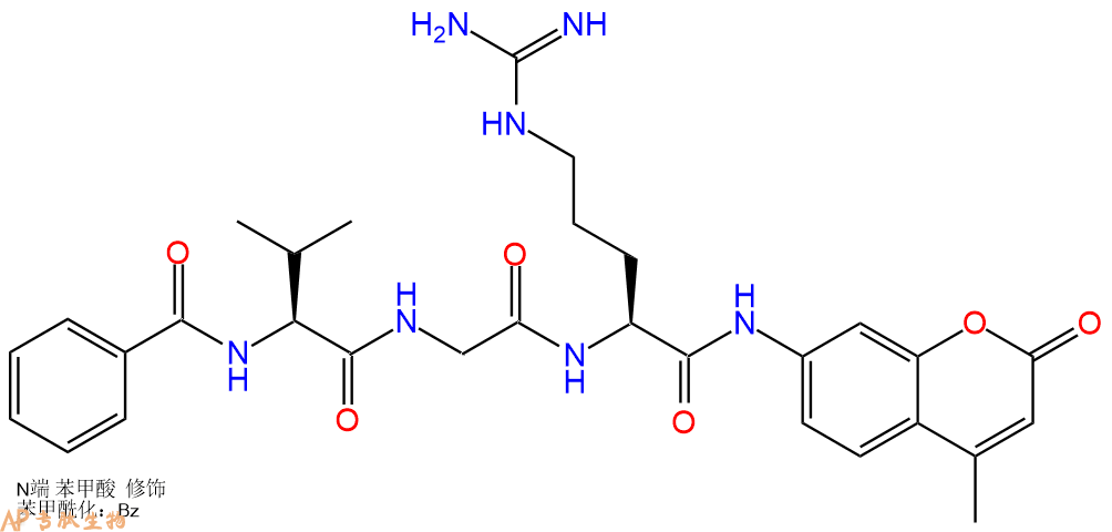 專肽生物產(chǎn)品蛋白酶體底物：Benzoyl-Val-Gly-Arg-7-氨基-4-甲基香豆素87779-49-5