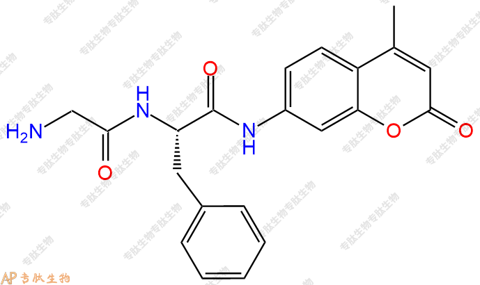 專肽生物產(chǎn)品二肽標(biāo)記肽GF-7-氨基-4-甲基香豆素201852-70-2