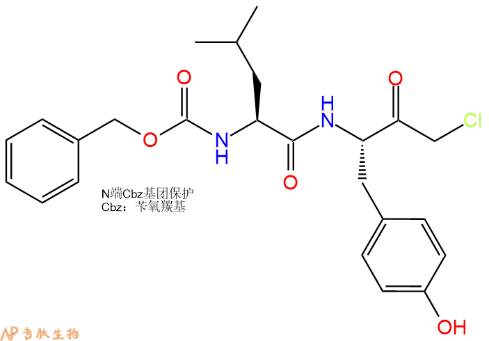 專(zhuān)肽生物產(chǎn)品二肽Z-Leu-Tyr-chloromethylketone56979-35-2