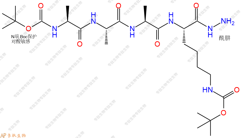 專肽生物產(chǎn)品四肽Boc-Ala-Ala-Ala-Lys(Boc)-NH-NH2103443-58-9