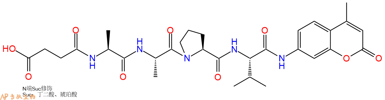 專肽生物產(chǎn)品白細胞彈性蛋白酶（中性粒細胞彈性蛋白酶）底物113277-37-5