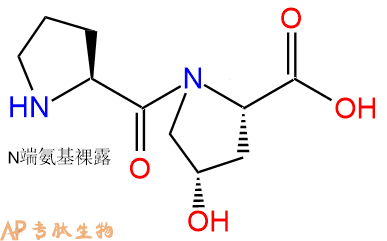 專肽生物產(chǎn)品二肽-6、Dipeptide-6、Prolyl-hydroxyproline18684-24-7