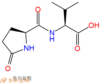 專(zhuān)肽生物產(chǎn)品Pyr-Val21282-10-0