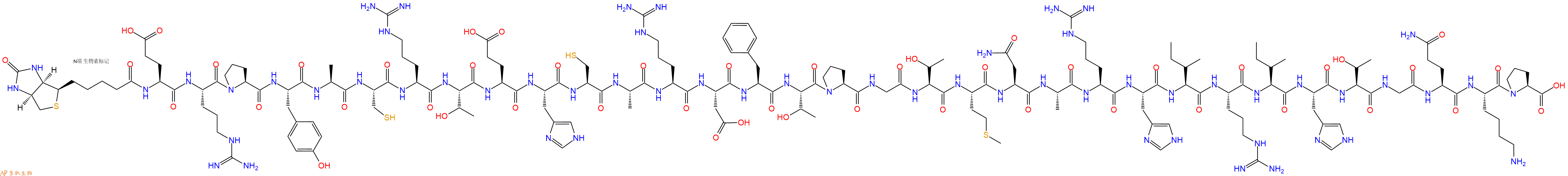 專肽生物產(chǎn)品生物素標(biāo)記肽Biotin-Glu-Arg-Pro-Tyr-Ala-Cys-Arg-Thr-Glu-H