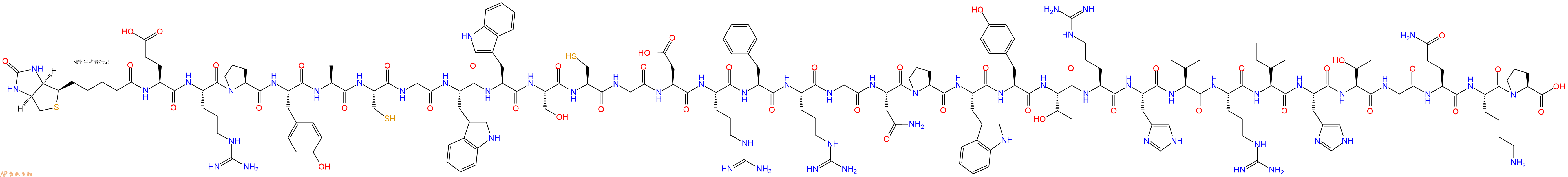 專肽生物產(chǎn)品生物素標(biāo)記肽Biotin-Glu-Arg-Pro-Tyr-Ala-Cys-Gly-Trp-Trp-S