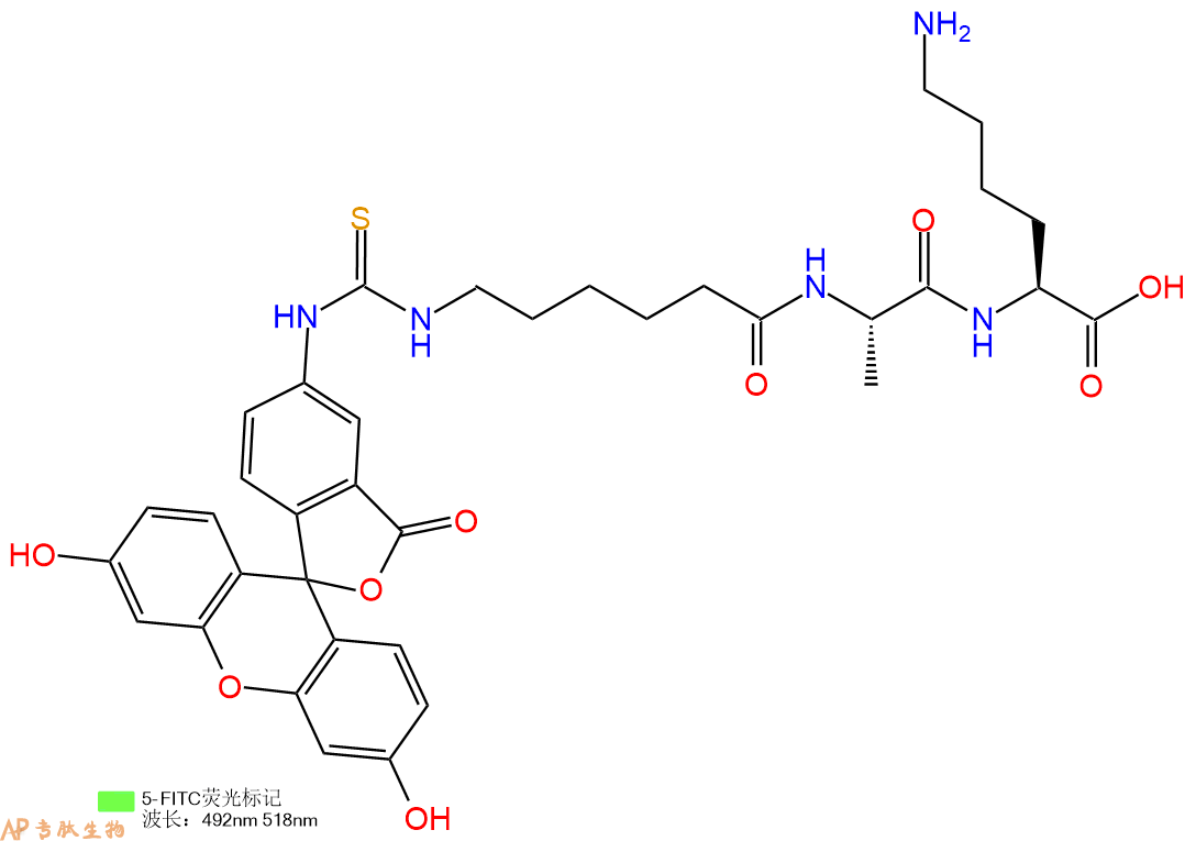 專肽生物產(chǎn)品三肽FITC-Acp-Ala-Lys