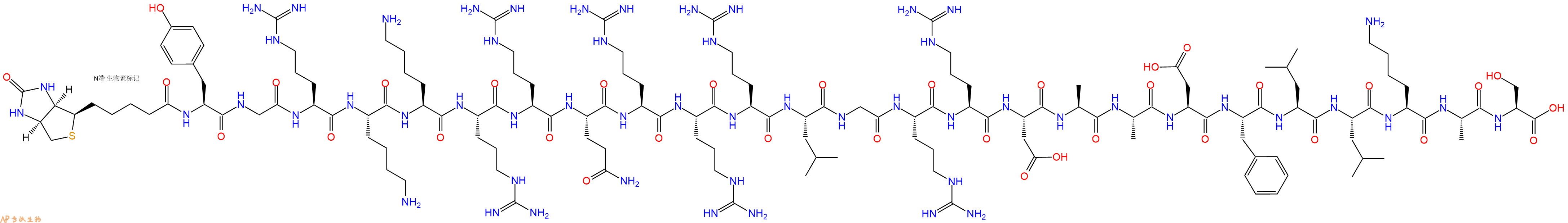 專肽生物產品生物素標記肽Biotin-YGRKKRRQRRRLGRRDAADFLLKAS