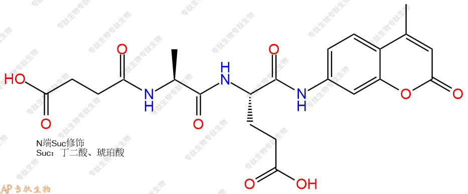 專(zhuān)肽生物產(chǎn)品二肽Suc-Ala-Glu-7-氨基-4-甲基香豆素