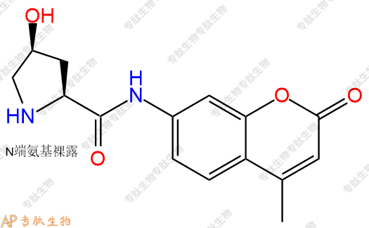 專肽生物產(chǎn)品Hyp-7-氨基-4-甲基香豆素77471-43-3