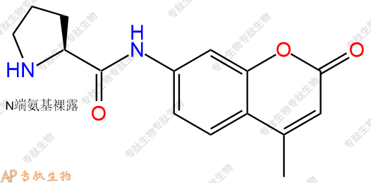 專肽生物產(chǎn)品Pro-7-氨基-4-甲基香豆素115388-93-7