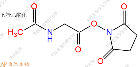 專肽生物產(chǎn)品Ac-Gly-Osu24715-24-0